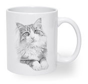 Giller Baskılı Seramik Kupa Kedi Cancan