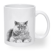 Giller Baskılı Seramik Kupa Kedi Leon